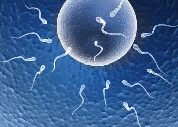 Fertility and conception tips