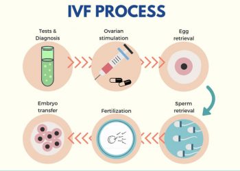 IVF PROCESS